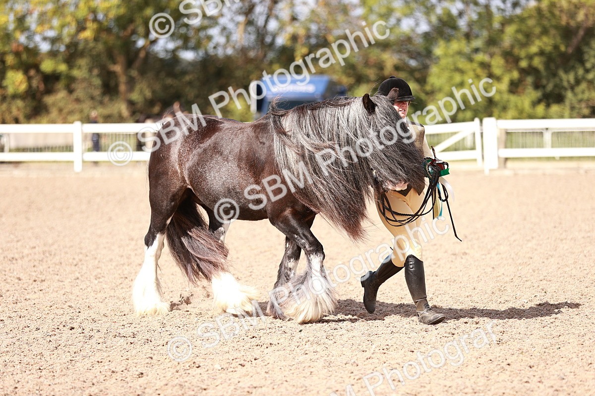 SBM_23033 - Class 707 - IH groom Helpers Class