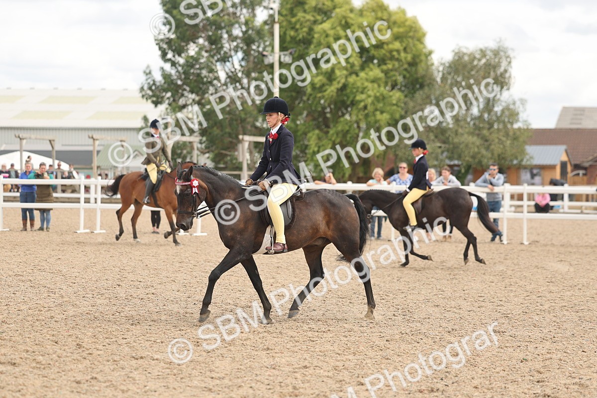 SBM_16004 - Class 311 - Ridden Show pony-Show hunter Pony