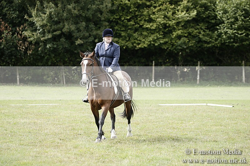 BVR080918 180 - BVRC Novice Dressage & CR 08/09/18