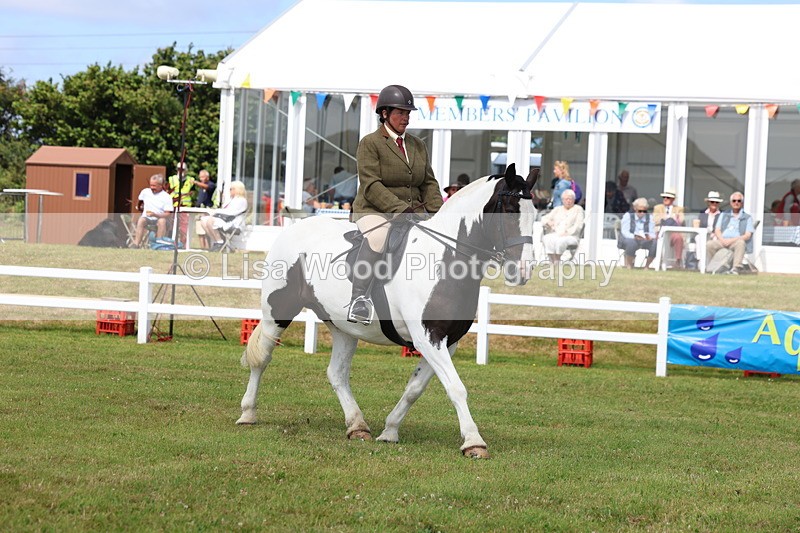 3E7A9926 - Class 5: Rising Star Lightweight/Heavyweight Cobs