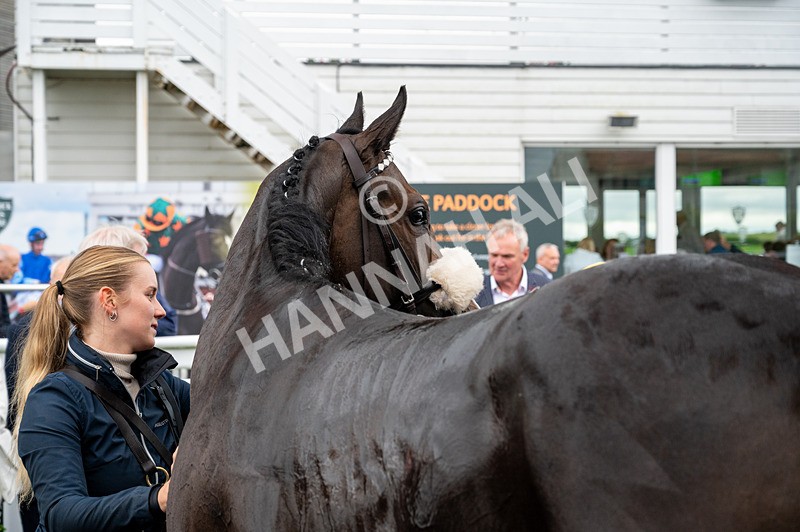 100724-Race 2-J Street-8404 - Race 2