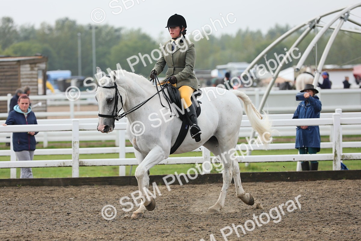 SBM_21299 - Class 805 - Ridden Veteran Horse