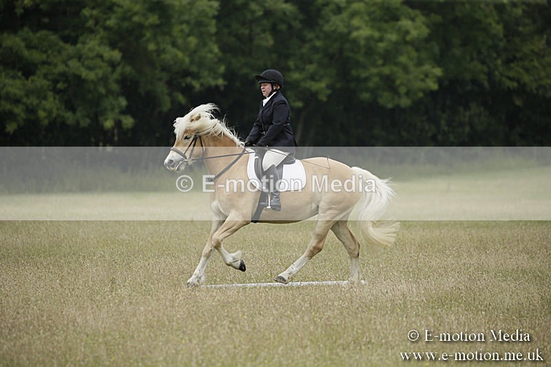 B230619-0610 - Bourne Valley Riding Club Summer Show 23/06/19