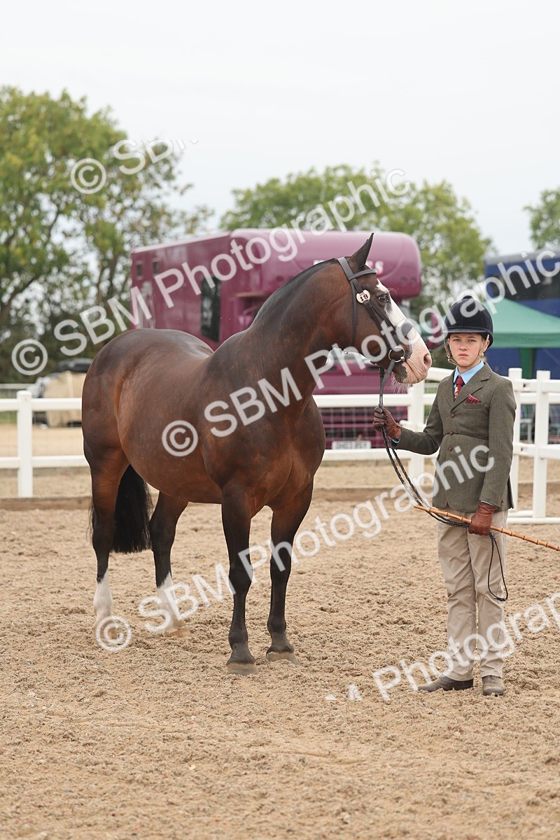 SBM_00576 - Class 13 Young Handler