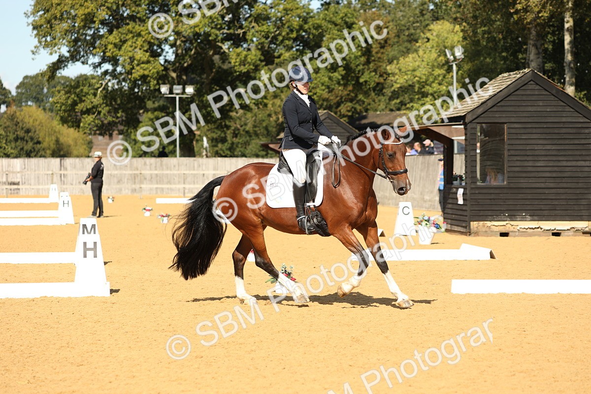 SBM_24528 - D17 - Grand Tour Championship - Novice 27