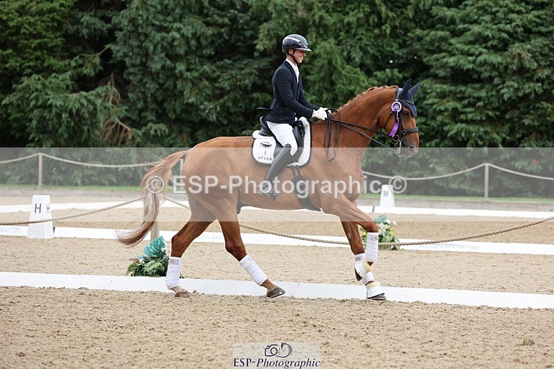 240810-170447-04525 - Elementary Silver