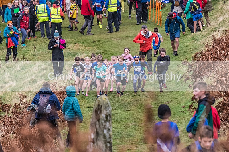 Sale Juniors-49 - Junior Sale Fell Races Sunday 10th November 2024