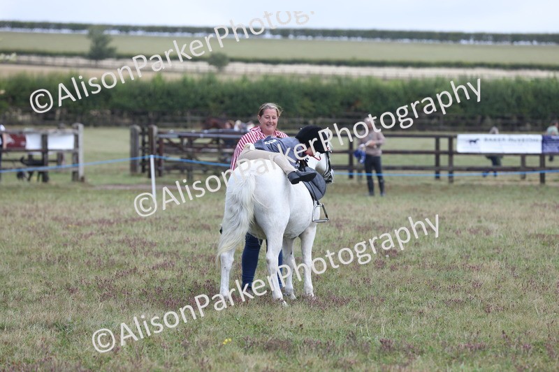 20250831-2413 - Class 16 - Family Pony