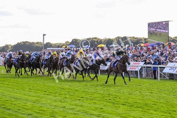 240824-Race 4-Magical Zoe-1642 - Race 4 3.35pm Sky Bet Ebor Handicap