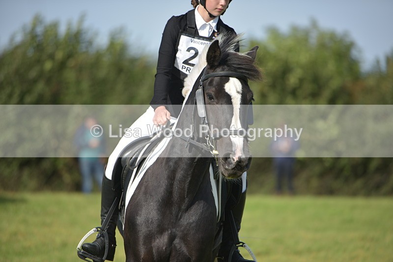 RAY_7622 - Class 2B: Trekenning Open: Dressage