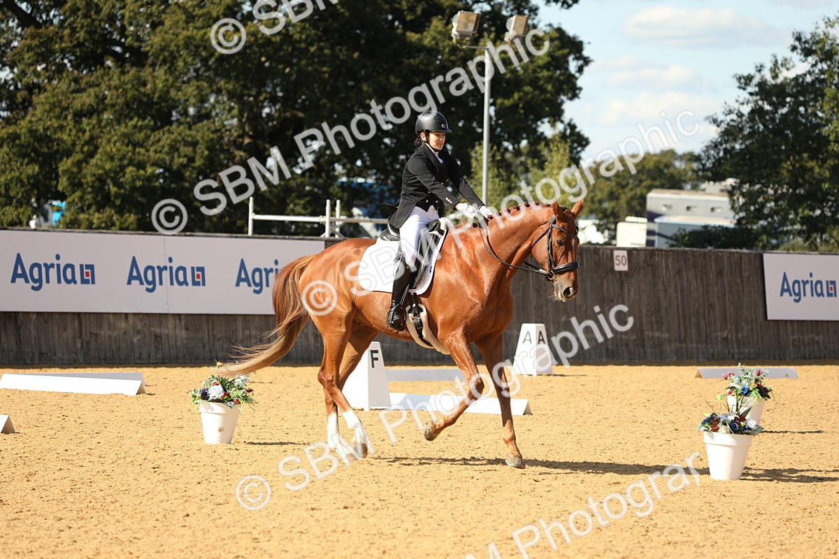 SBM_24615 - D17 - Grand Tour Championship - Novice 27