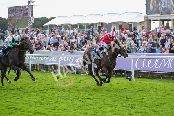 230824-Race 4-Bradsell-9417 - Race 4 3.35pm Coolmore Wootton Bassett Nunthorpe Stakes