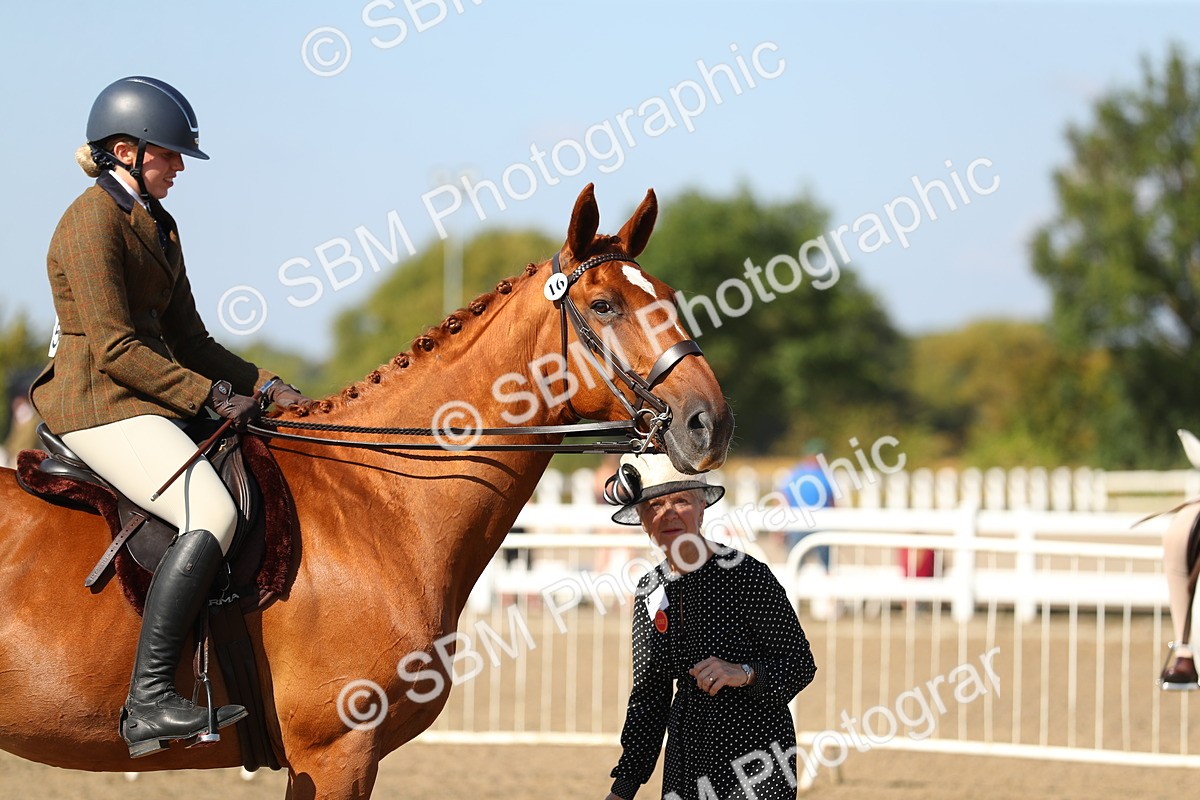 SBM_02294 - Class 43 Ridden Competition Horse/Pony