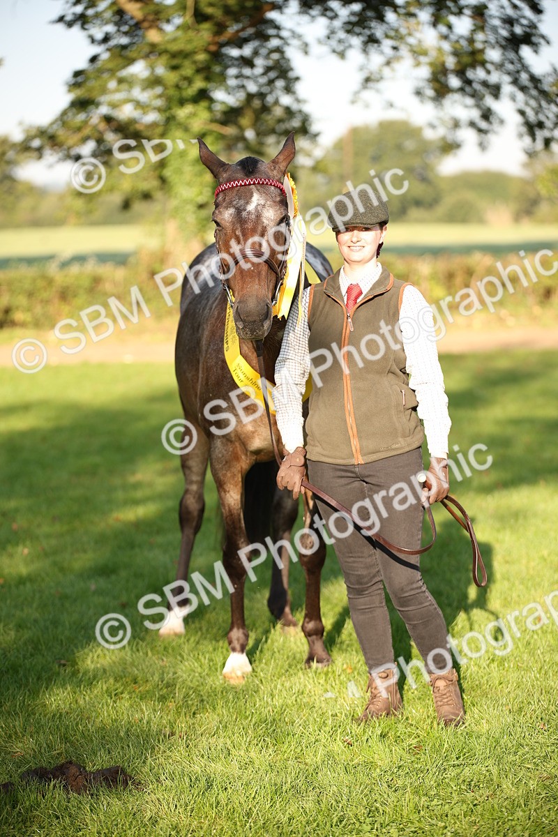 SBM_57592 - S50 - Foreign Breeds In Hand
