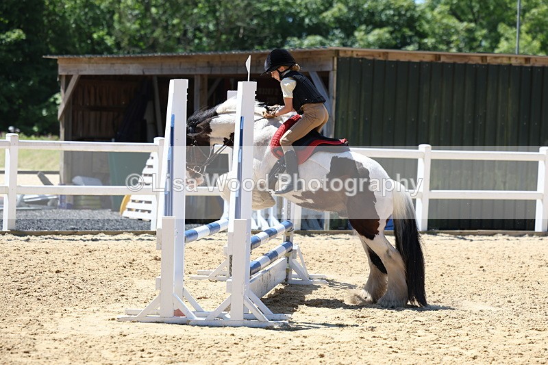 3E7A2606 - Class 4/5: 60cm Open Teams and Individuals