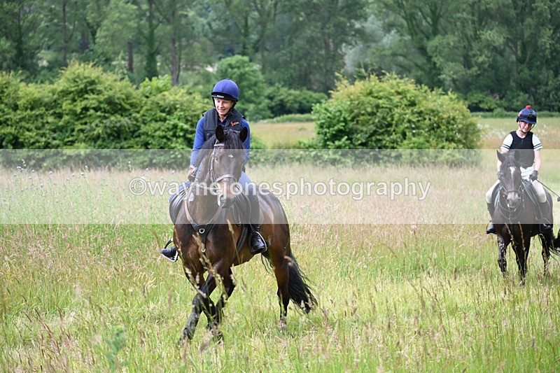 WJ6_7914 - Camera 1 Gallops