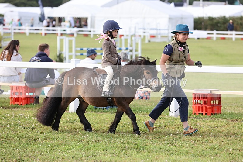 JPP_0226 - Class 14: Cornish Combination Leading Rein