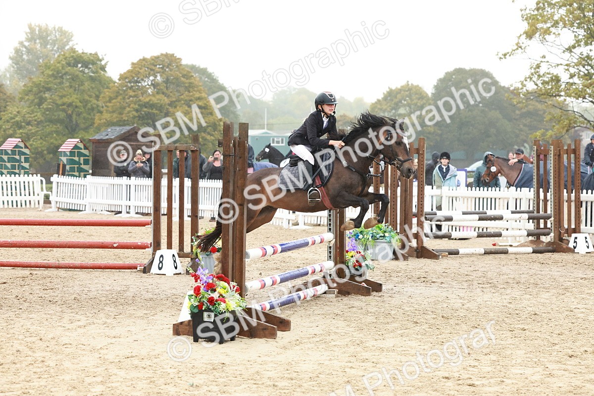 SBM_73395 - Supreme Championship Junior Pony 60cm & 65cm
