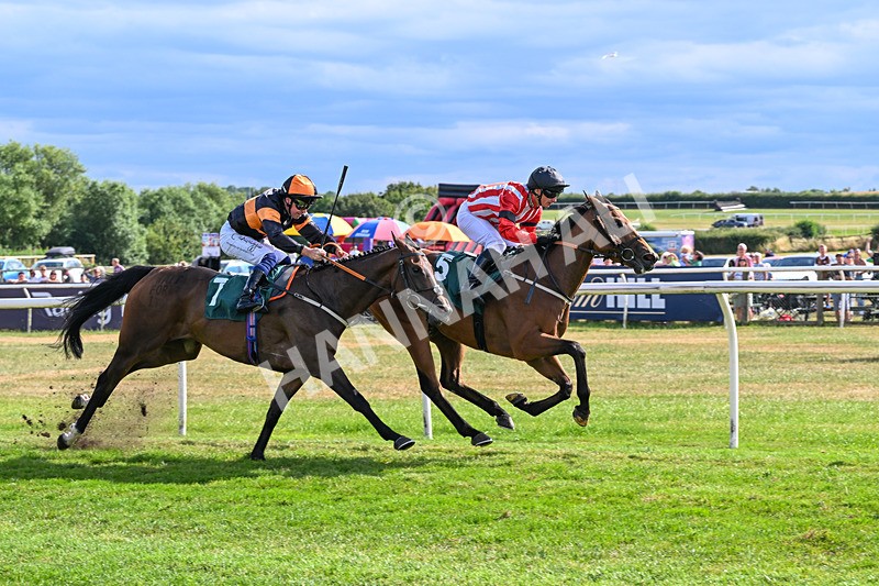 220726-Race 6-Barmyblade-0286 - Race 6 16.42pm Racing Again 4th August Handicap