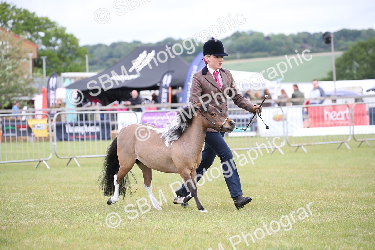 SBM_03975 - Class 23-25 - British Miniature Horse of the Year
