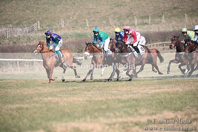 PtP 230219 217 - Vine & Craven Point-To-Point - Barbury 23/02/19