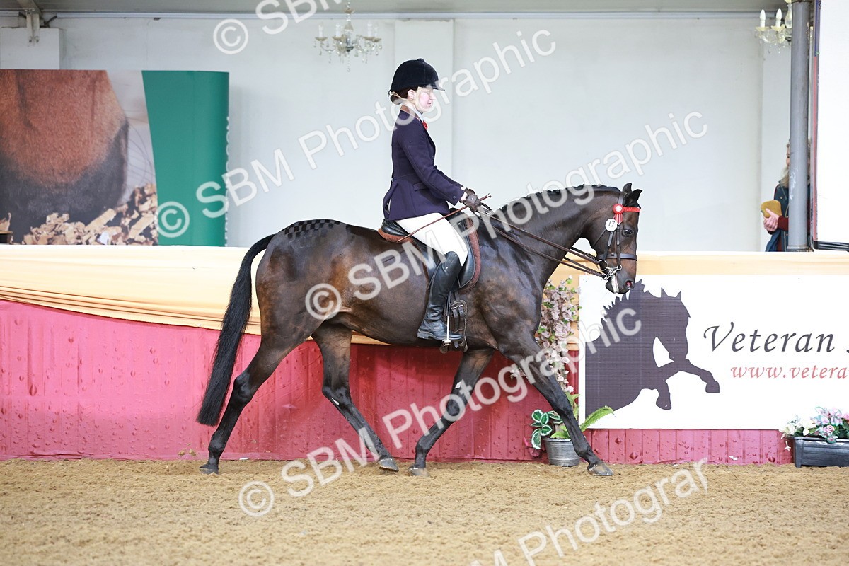 SBM_11808 - Class 102 - Equitation (Best Rider) Adult