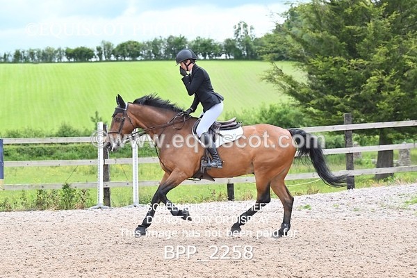 BPP_2258 - CLASS 21 SUN Senior Newcomers/ 1.10m Open