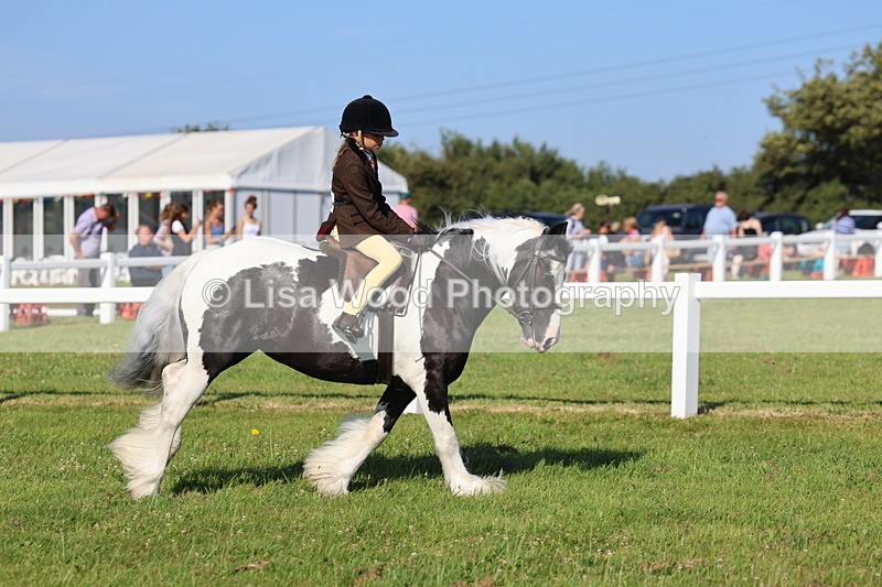 IMG_1509 - Class 30: Ridden Native/Trad Coloured Pony