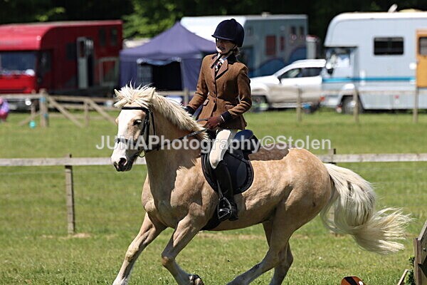 IMG_3666 - Working Hunter