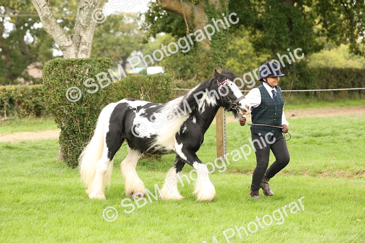 SBM_59274 - S57 - Traditional Cob In Hand
