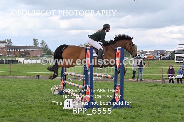 BPP_6555 - CLASS 6 1M AM CHAMP