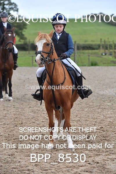 BPP_8530 - CLASS 3 Pony BritiNovice / 0.80m Open