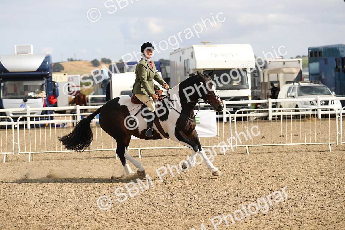 SBM_06830 - Class 49a Style & Performance 80cm (15-19)