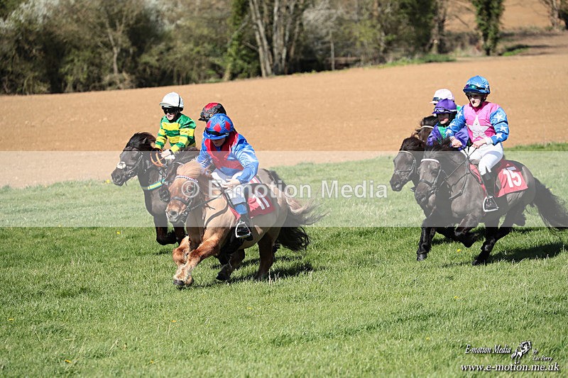 Shet 060426 288 - Shetland Pony Racing Paxford Races Easter Mon 06/04/26