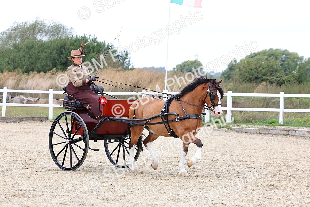 SBM_000336 - Class 2 - Exercise Vehicle 13.2hh & Under