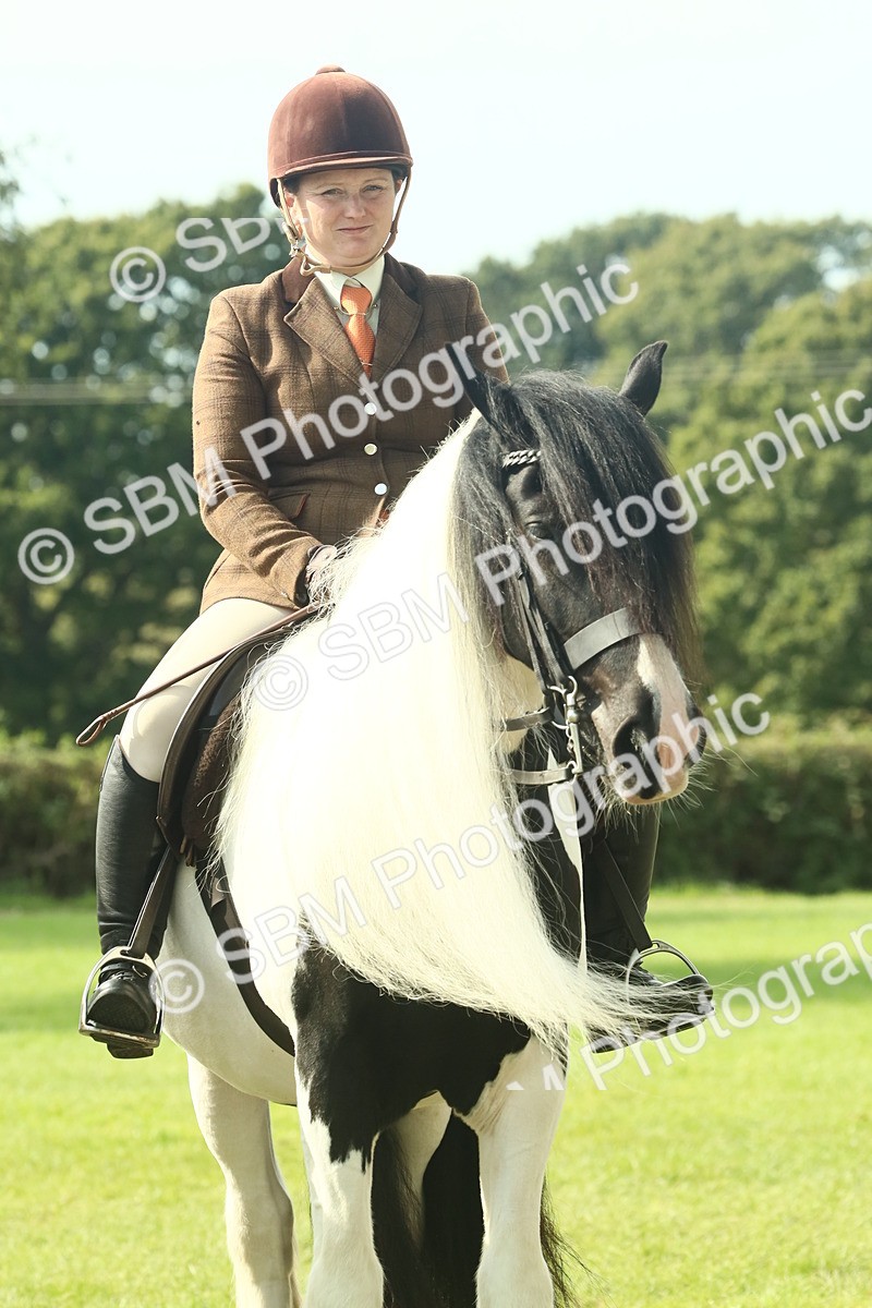 SBM_68952 - S58 - Mini Show Cob Ridden
