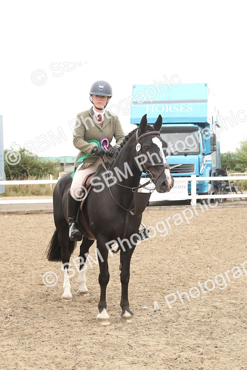 SBM_18333 - Class 509a - Working Veteran - 80cm (15-19)