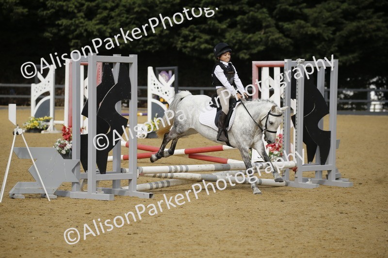 20250622-1528 - 40cm