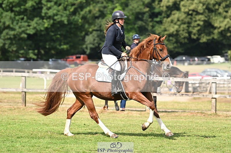 250704A-094505-06864 - Cls 24 85cm Amateur Quali