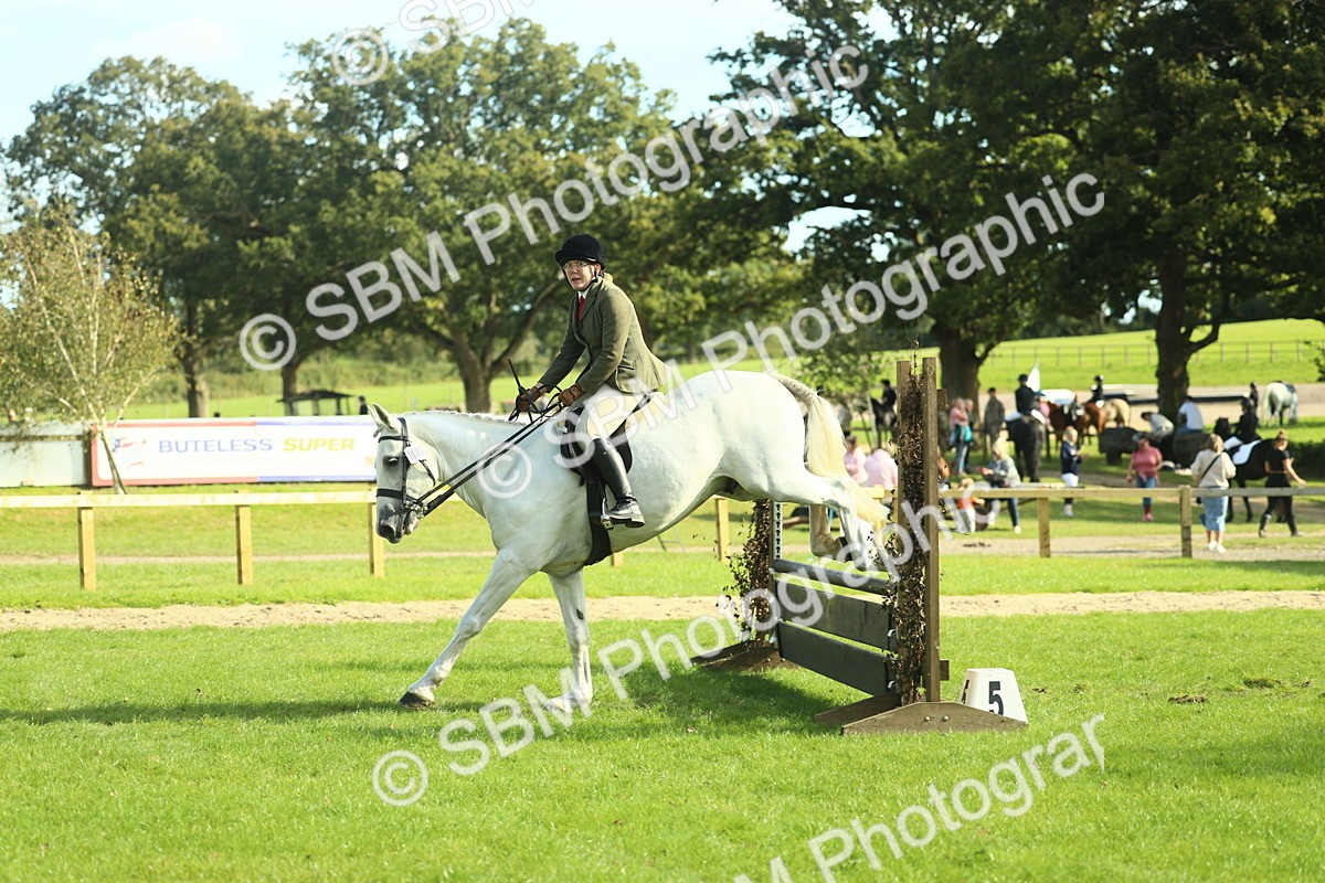 SBM_50549 - S33 - Working Hunter & Working Show Horse