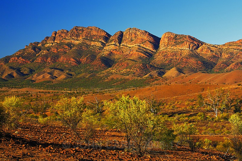 Elder Range-0612 - FLINDERS RANGES PHOTOS