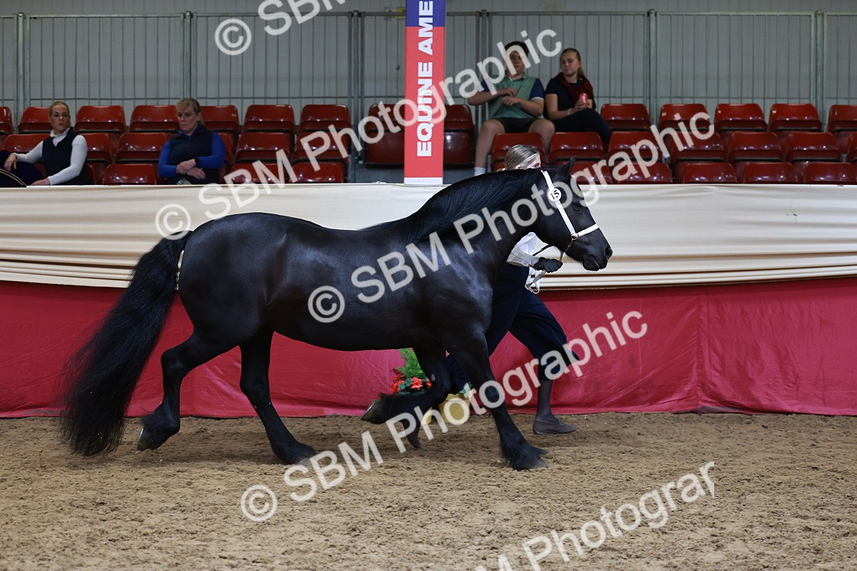 SBM_17397 - Class 951 - M&M IH Supreme Final