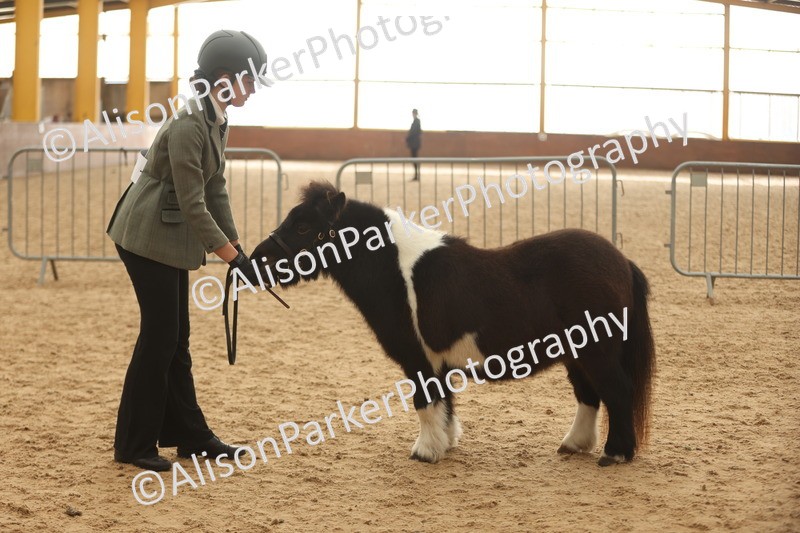 20251109-0400 - Class 15 - Coloureds