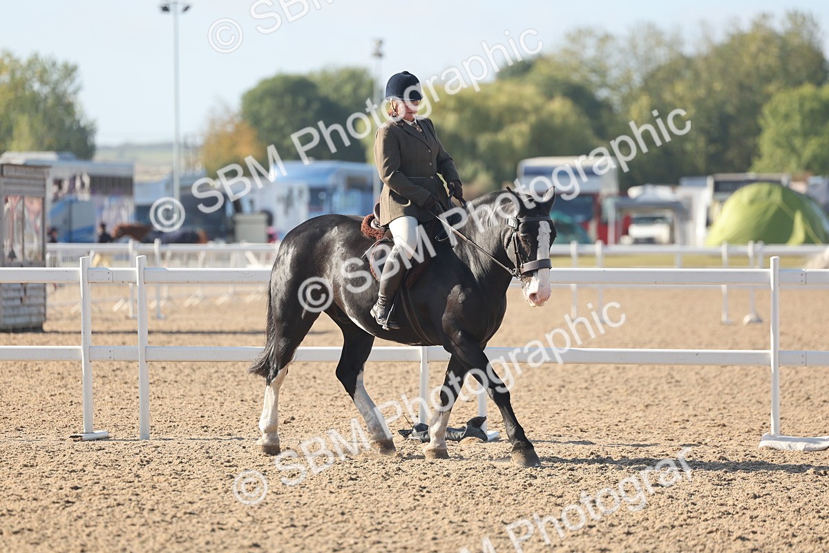 SBM_22185 - Class 802 - Ridden Groom Helpers Class