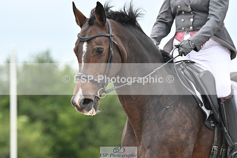 240621A-170812-05902 - Cls 14 BD Adv Medium 98