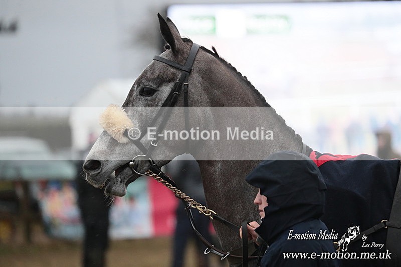 PtP 260125 976 - Cocklebarrow Point-to-Point racing with the Heythrop Hunt 26/01/25