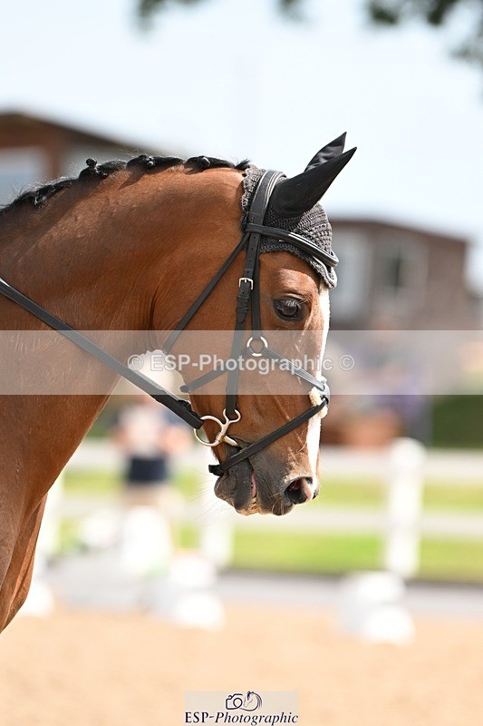 250620-110346-02753 - BD Cls 4 - Novice 5, Start to 11.30am