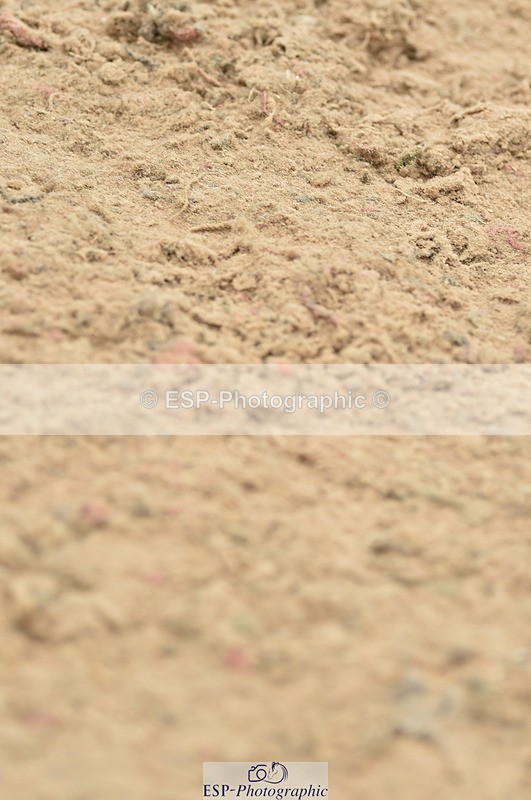 230611A-135202-06209 - Cls 35 1.10m Amateur Qualifier