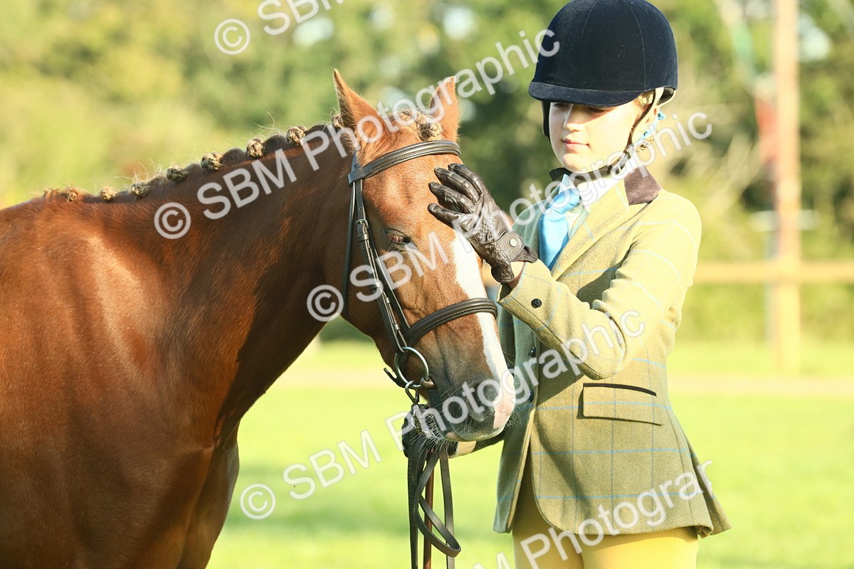 SBM_57487 - S37 - Starters In Hand Showing