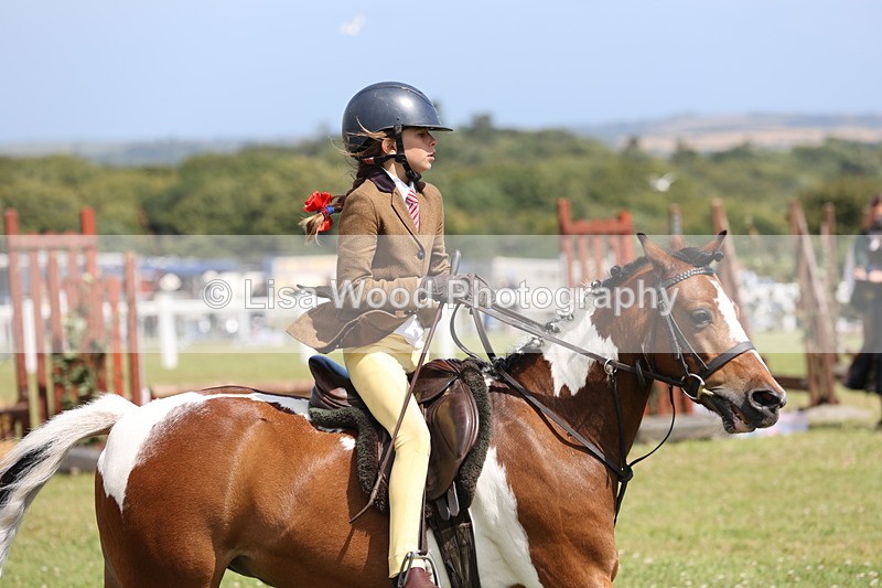 JPP_2151 - Class 19: Working Hunter 60cm